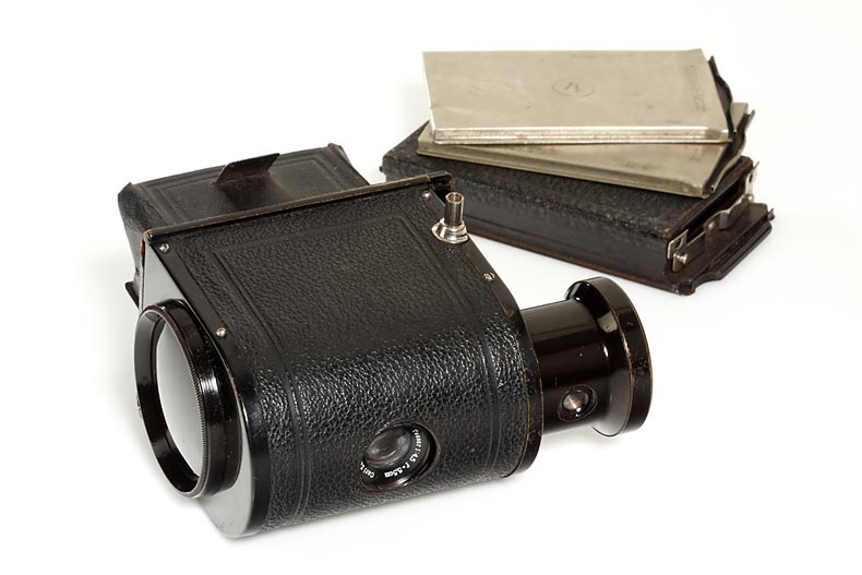 Contessa Nettel  Ergo