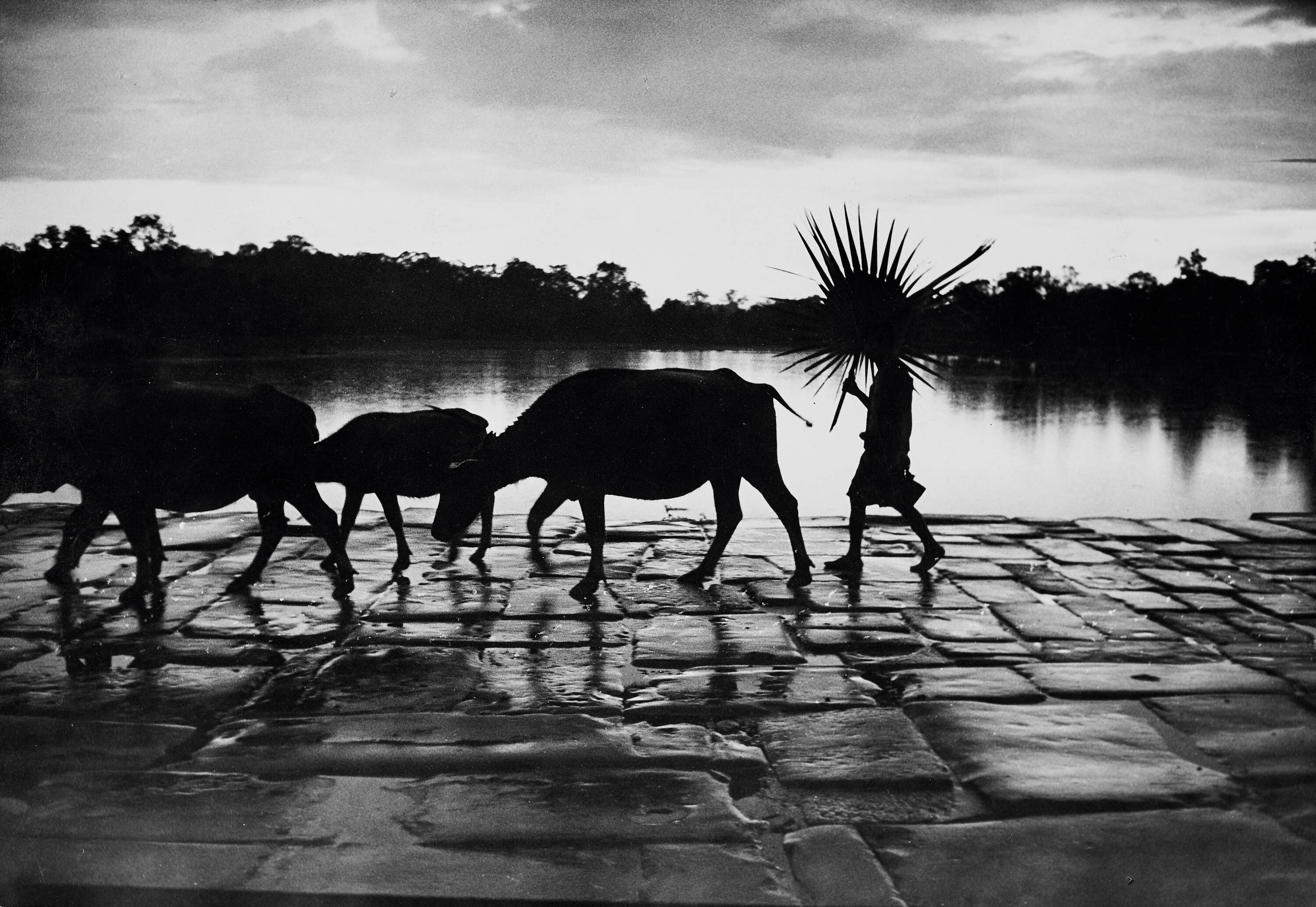 WERNER BISCHOF (1916–1954) - Angkor Wat, Cambodia 1953