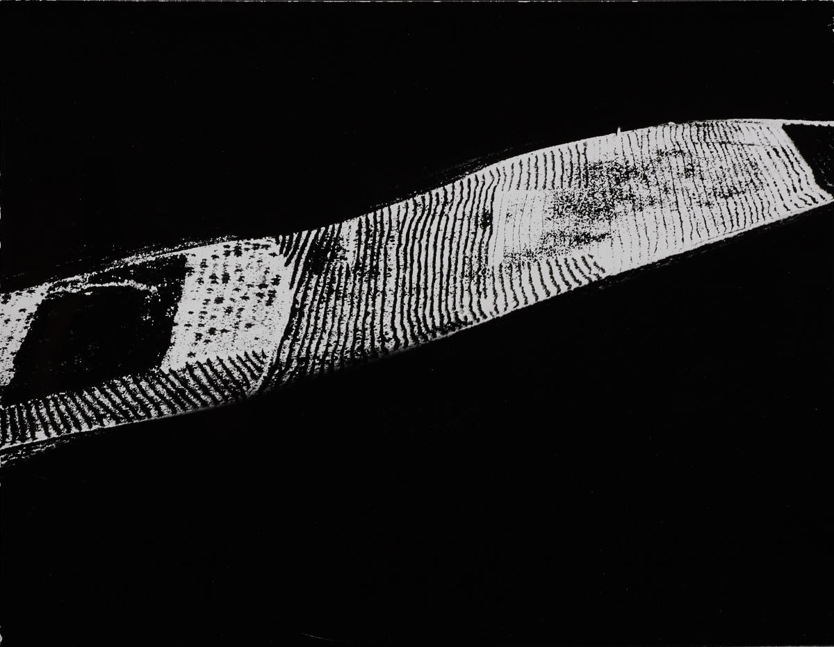 MARIO GIACOMELLI (1925–2000) ‘Presa di coscienza sulla natura (On being aware of nature)’, 1992 MARIO GIACOMELLI (1925–2000) ‘Presa di coscienza sulla natura (On being aware of nature)’, 1992