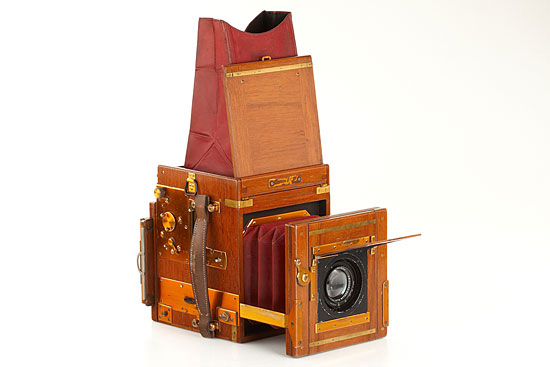 Marion & Co. Soho Tropical Reflex