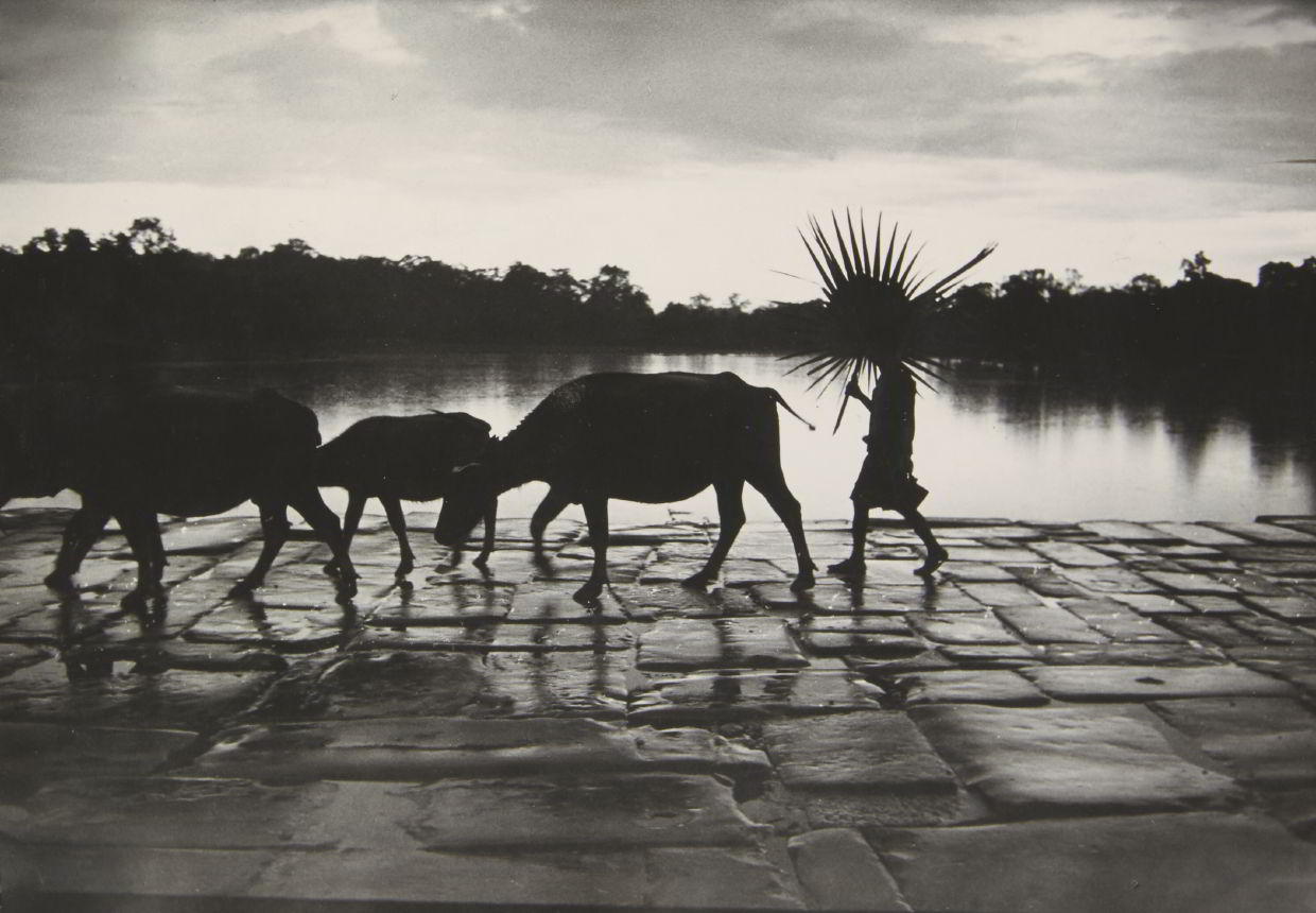 WERNER BISCHOF (1916–1954) Angkor Wat / Angkor Vat, Cambodia 1952 WERNER BISCHOF (1916–1954) Angkor Wat / Angkor Vat, Cambodia 1952