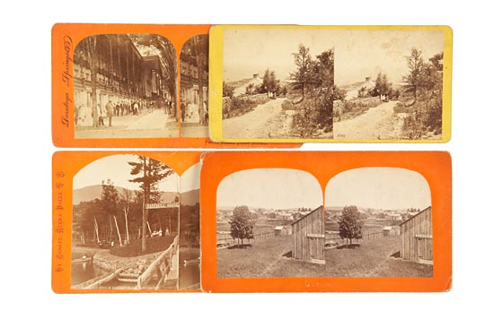 31 Stereographs of New York State
