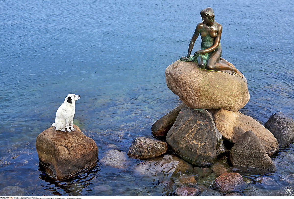 TONI ANZENBERGER (* 1969) ‘Pecorino and the Little Mermaid’, Copenhagen 2006