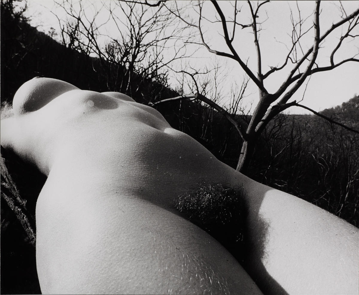 LUCIEN CLERGUE (* 1934) ‘Nu dans la fôret Calcinée’ (Akt in versteinertem Wald / Nude in petrified forest), 1970 LUCIEN CLERGUE (* 1934) ‘Nu dans la fôret Calcinée’ (Akt in versteinertem Wald / Nude in petrified forest), 1970