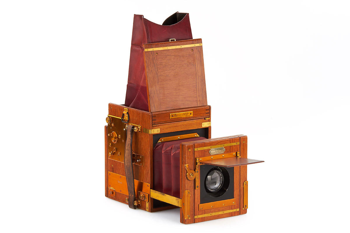 Marion & Co. Soho Tropical Reflex