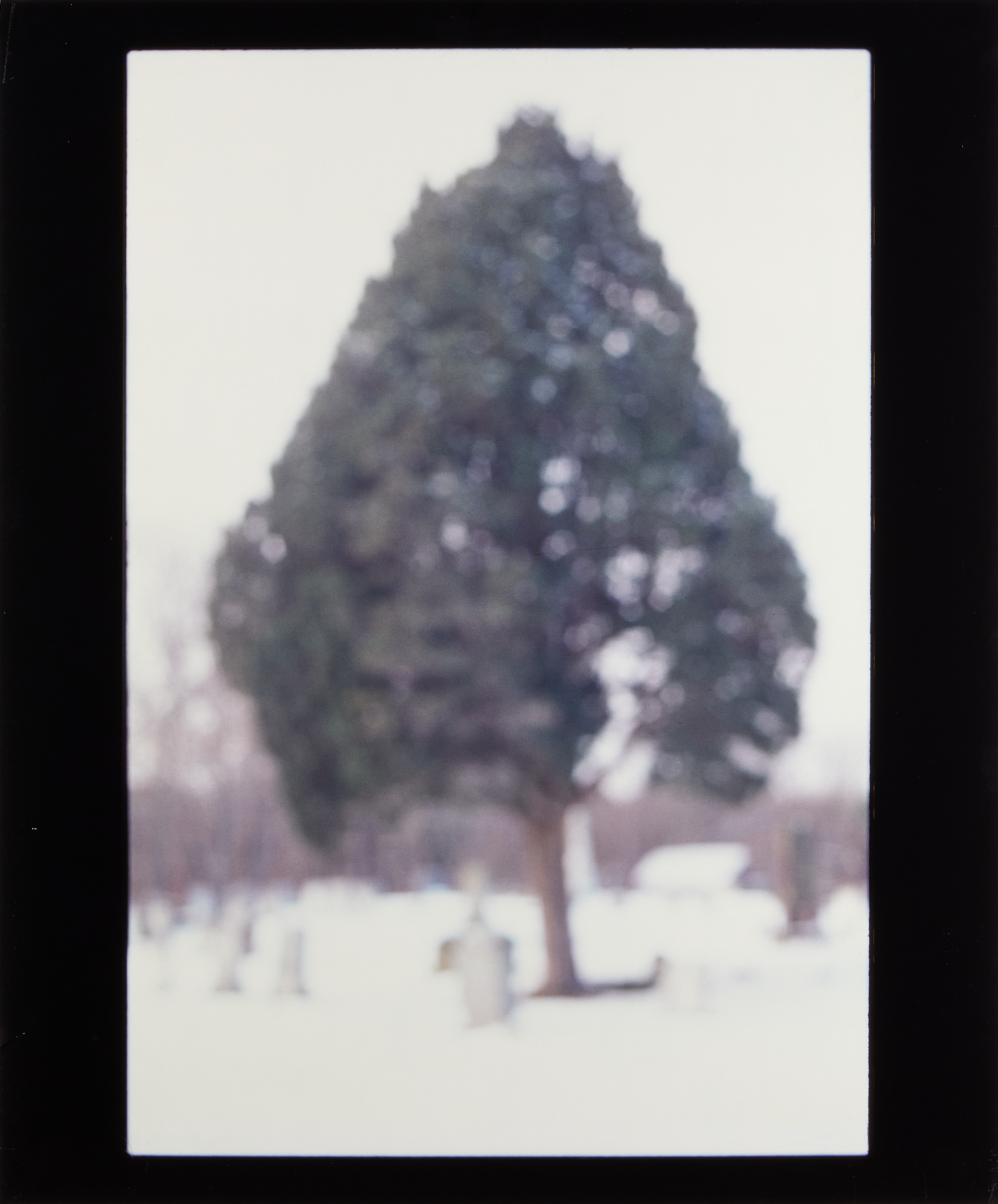 DAVID ARMSTRONG (1956–2014) -"Arbor" Portofolio with six Cibachrome prints, 1999