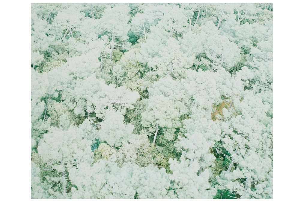 Markus Oberndorfer, Untitled Markus Oberndorfer, Untitled