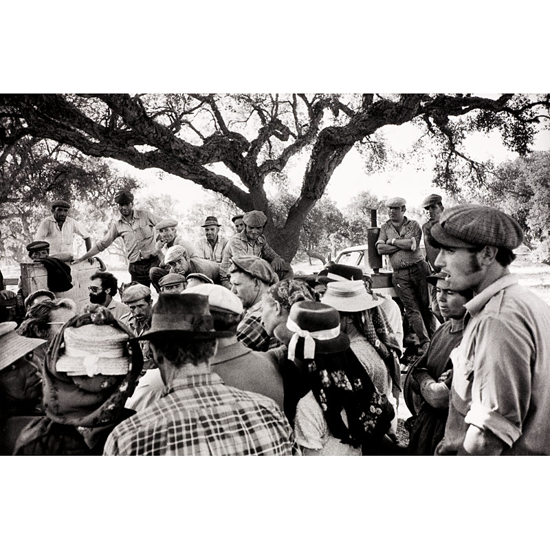 Fausto Giaccone (* 1943), Farmers, The Portuguese Revolution