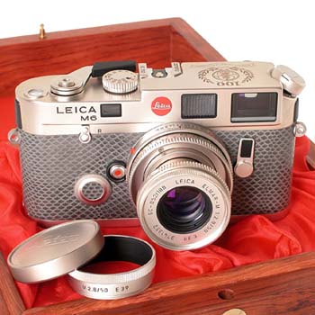 M6  Platin  'Schmidt 100 Years'