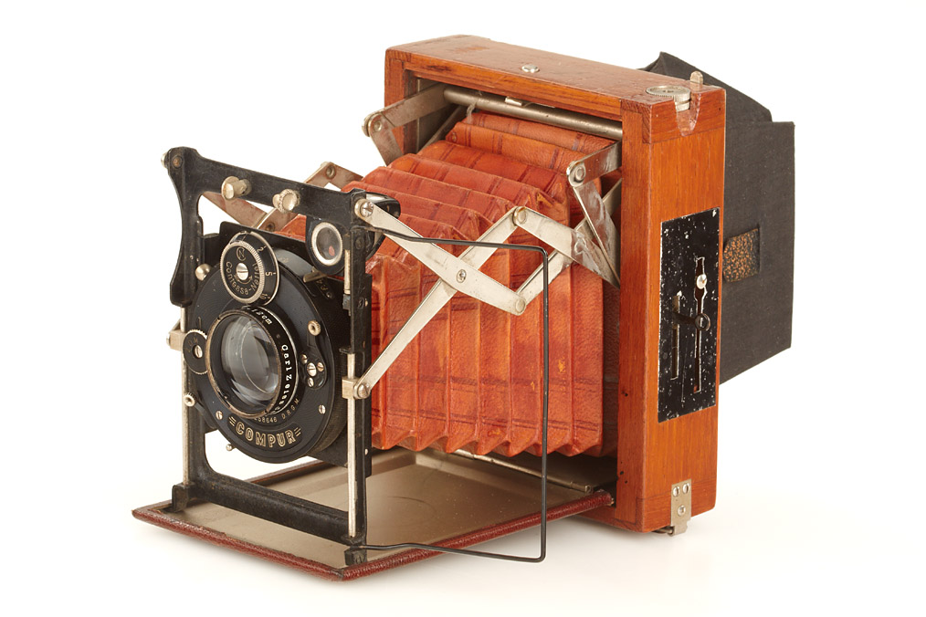 Contessa Nettel Sonnet Tropical