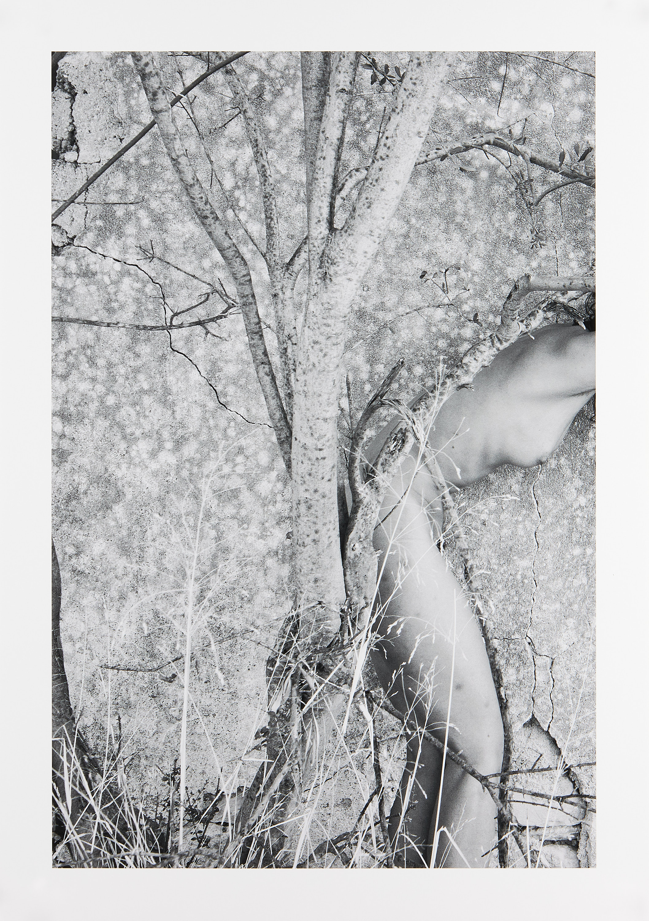 VIKI KOLLEROVÁ (*1984) - Fawn Wall, 2025