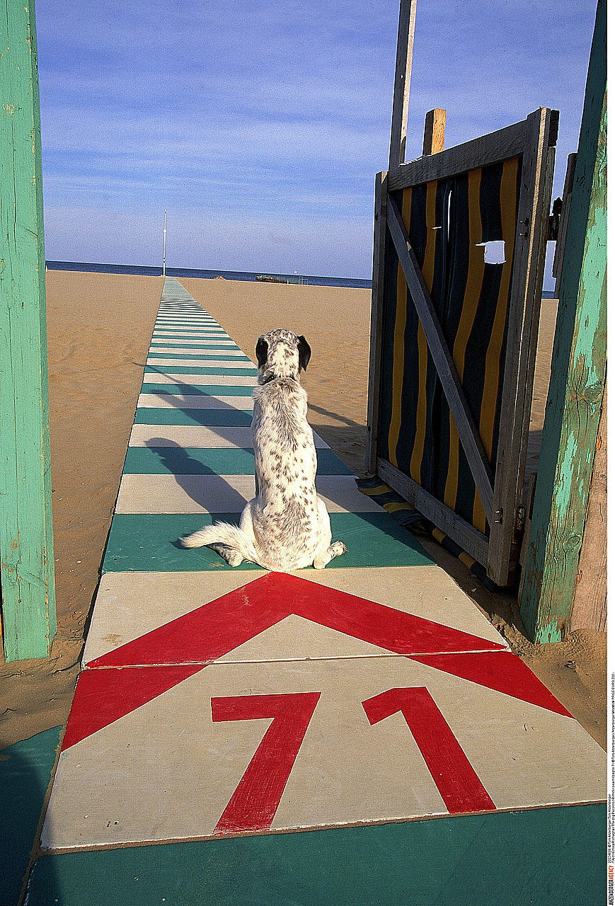 TONI ANZENBERGER (* 1969) ‘71er Pecorino’, Rimini 1998 *