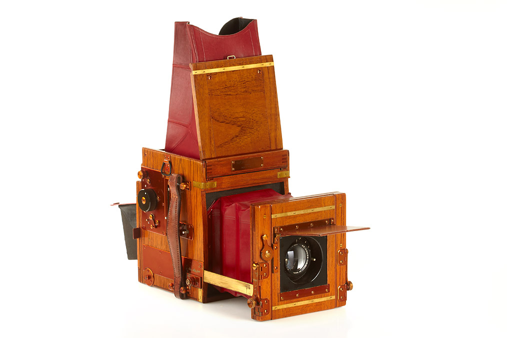 Marion & Co. Soho Tropical Reflex