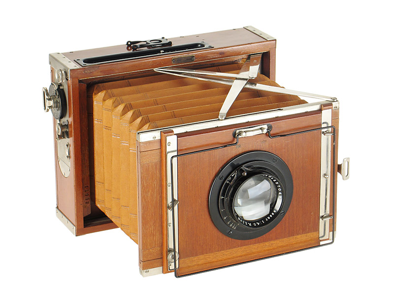 Nettel  Deck-Rullo Tropical