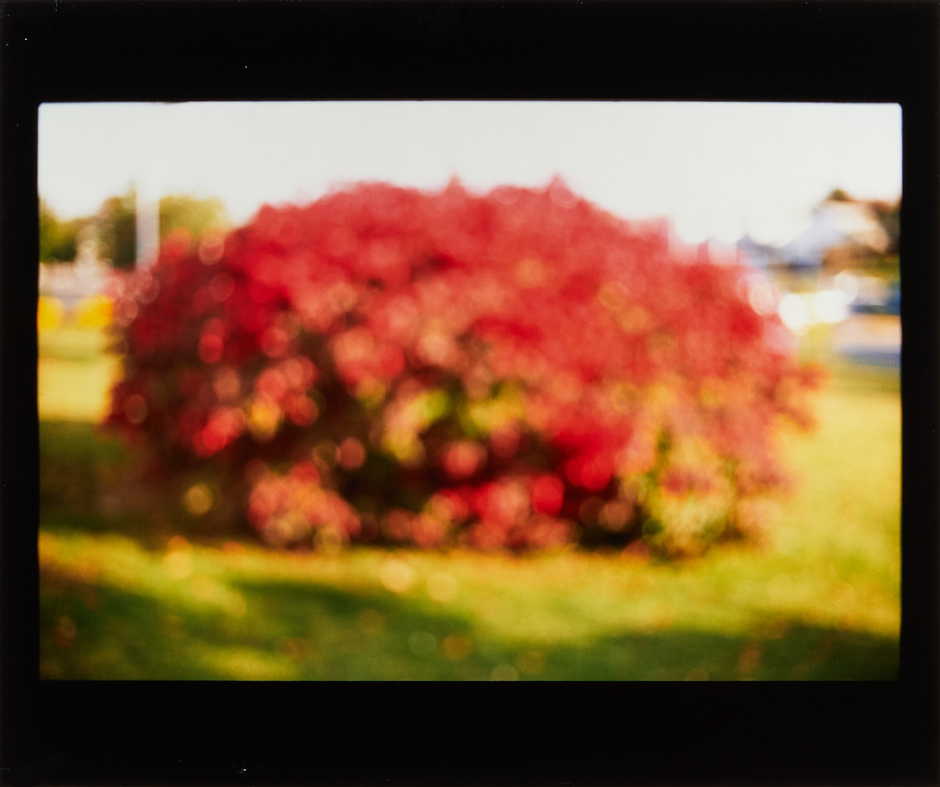 DAVID ARMSTRONG (1956–2014) -"Arbor" Portofolio with six Cibachrome prints, 1999