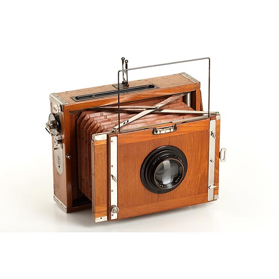 Contessa Nettel Deckrullo Tropical