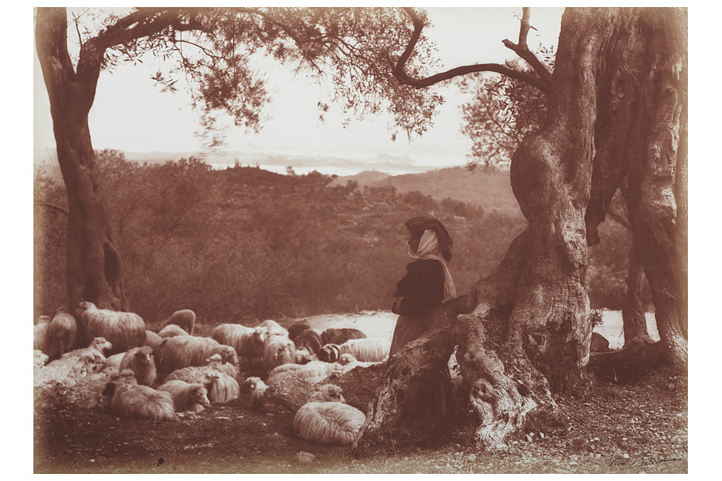 Frédéric Boissonnas, Shepherd in Corfu Frédéric Boissonnas, Shepherd in Corfu
