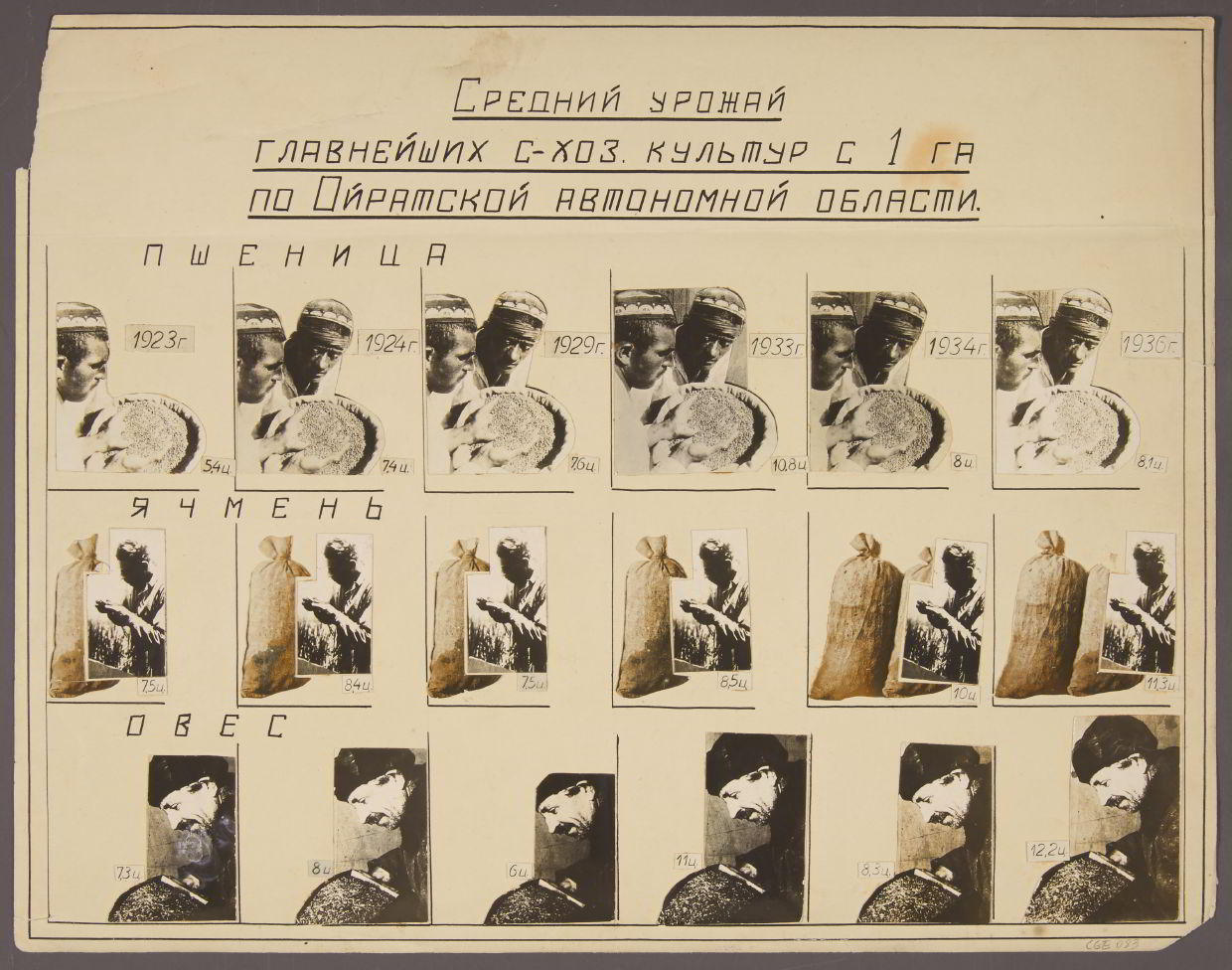 MIKHAIL GRACHEV (1916–?) Durchschnittsernten der wichtigsten Kollektivbauernhöfe /  Average harvest of the major collective farms, USSR 1936