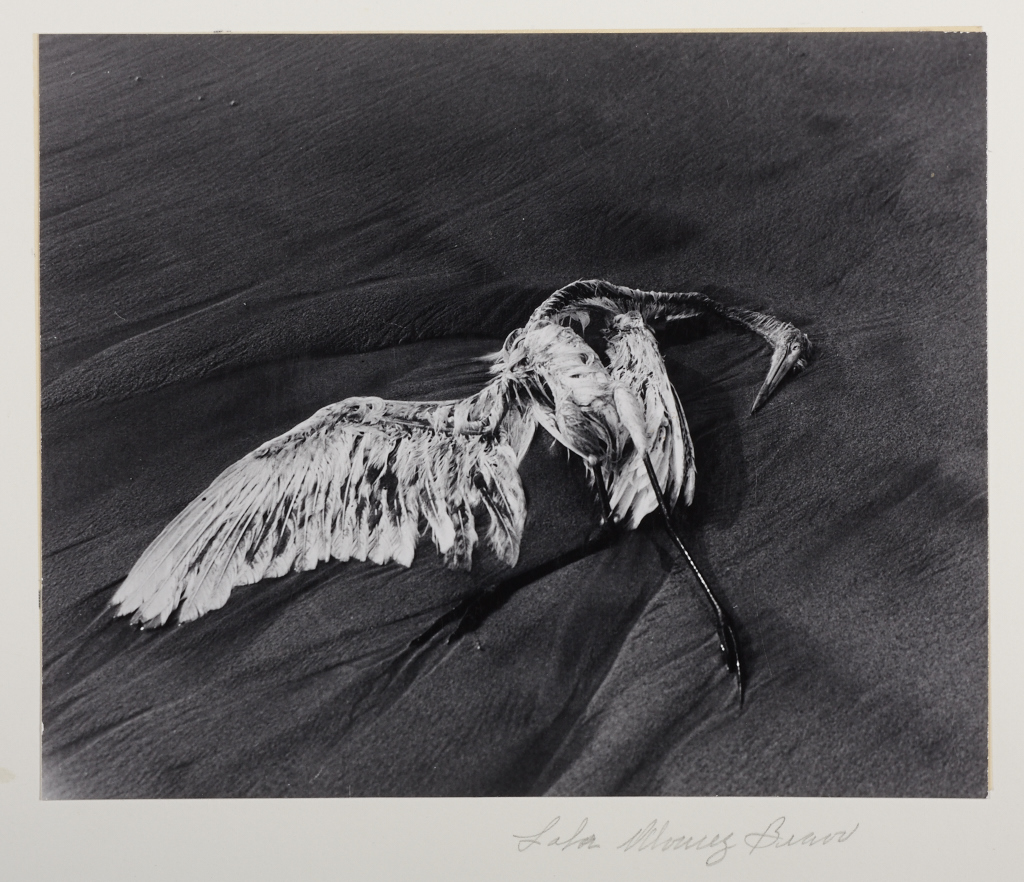 LOLA ÁLVAREZ BRAVO (1907–1993) ‘Hommage a Salvador Toscano’, 1950s