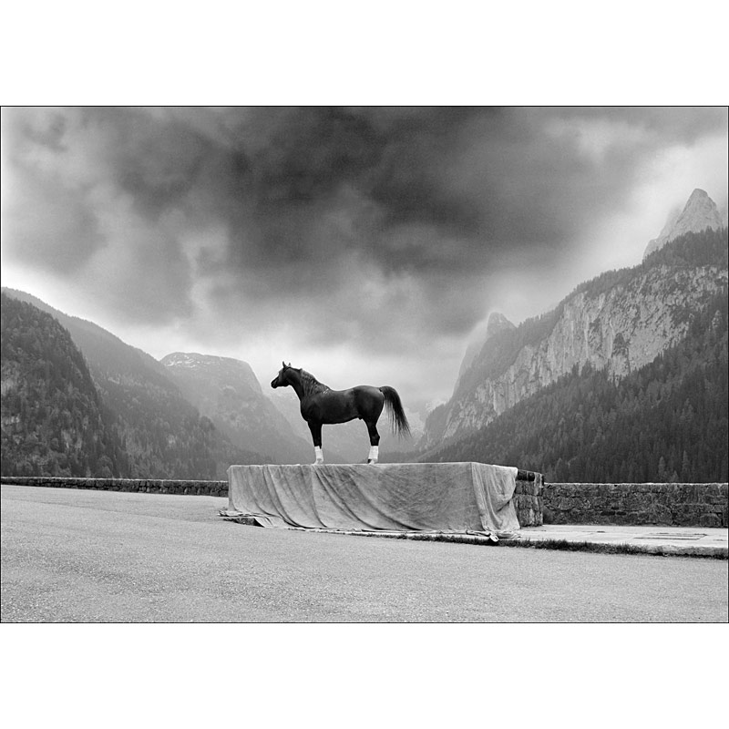 Horst Stasny (* 1941), ›Anilin‹