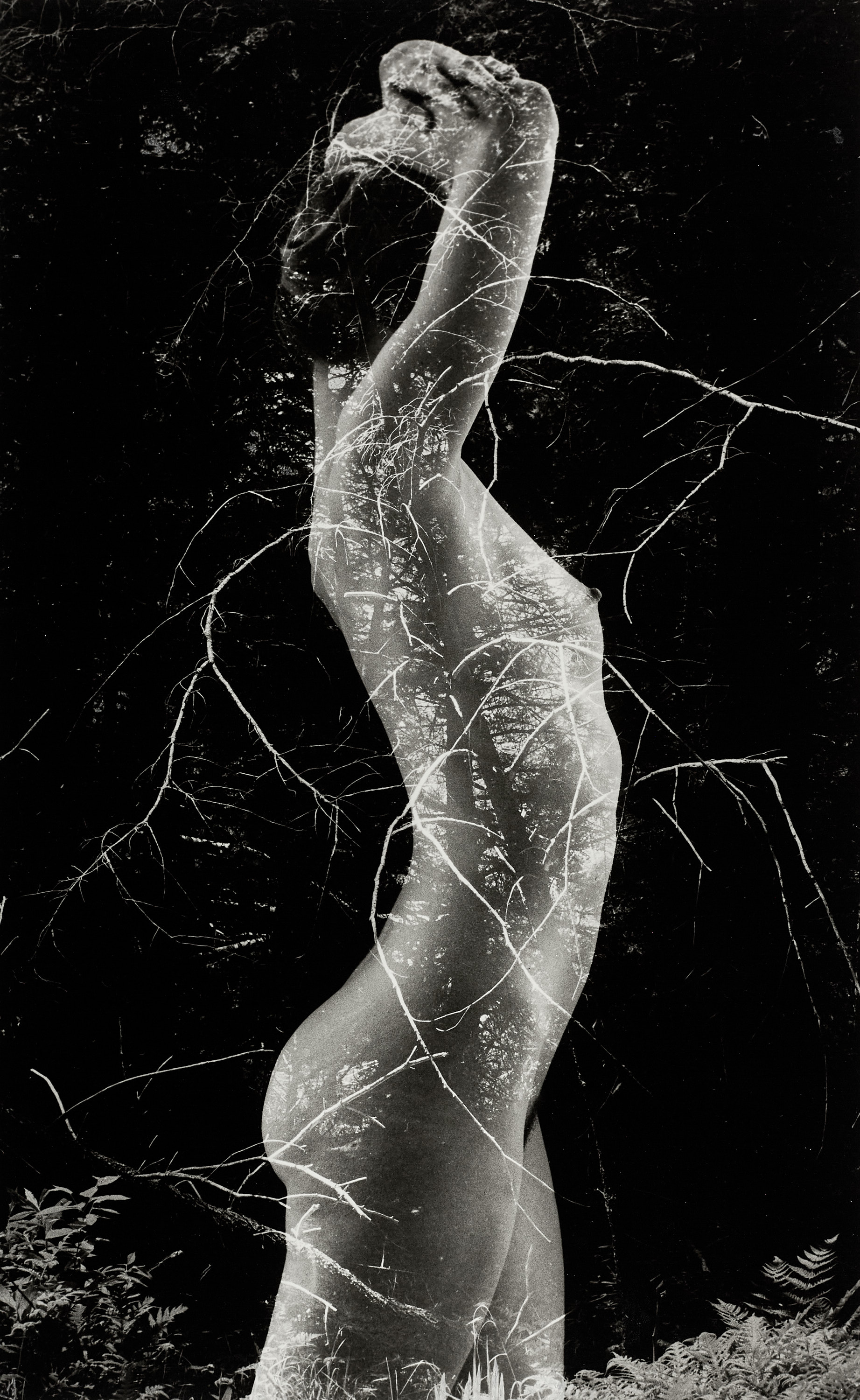 RUTH BERNHARD (1905–2006) - ‘Symbiosis’, 1971