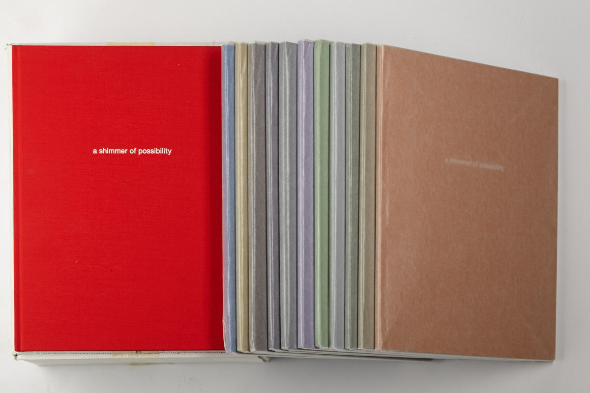 PAUL GRAHAM (* 1956)  ‘a shimmer of possibilities’, Göttingen: SteidlMACK, 2007