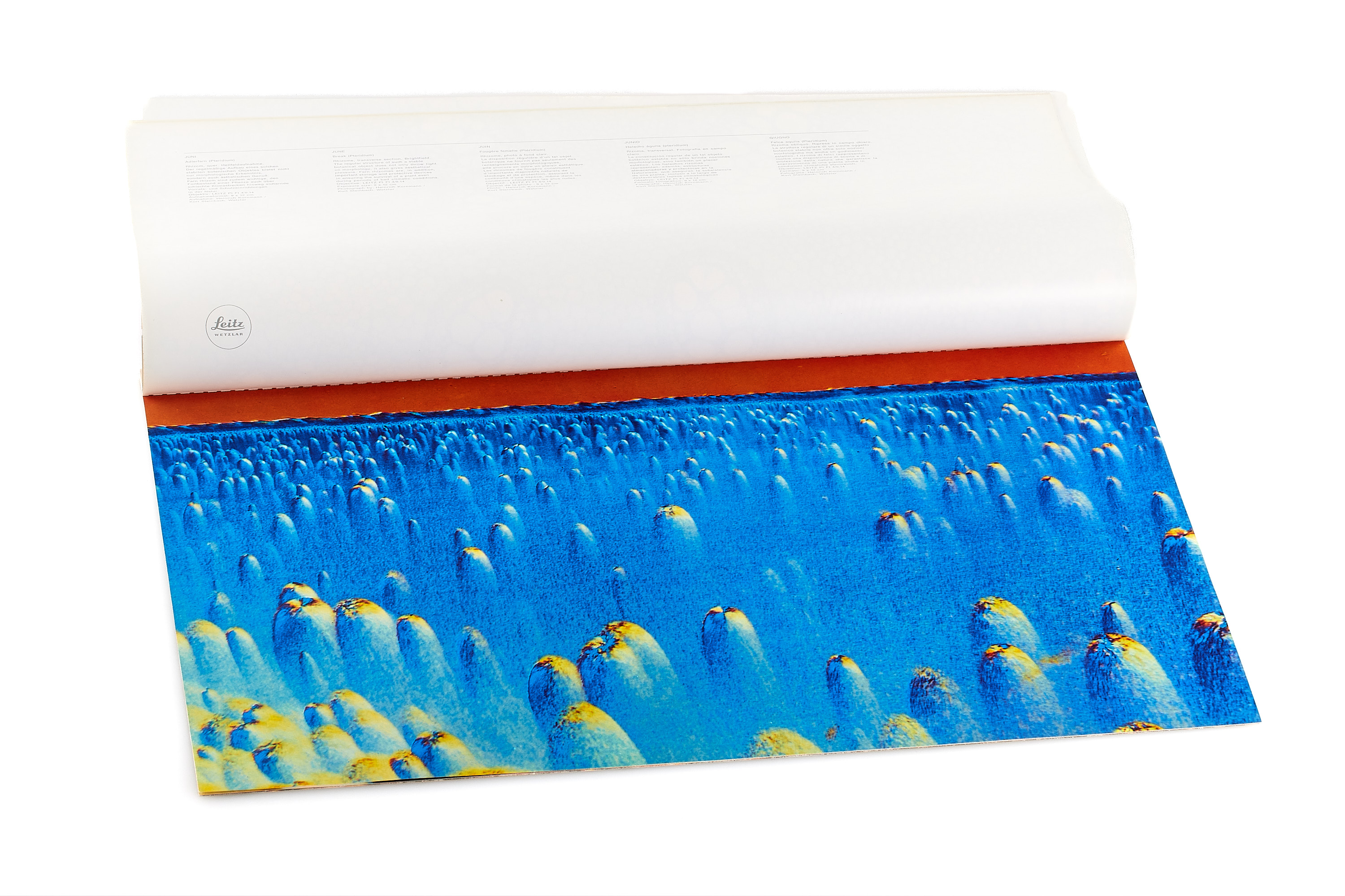 Leitz Advertising Calendars set