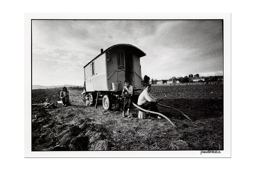 Pavel Vácha (*1940), Harvest / Ernte