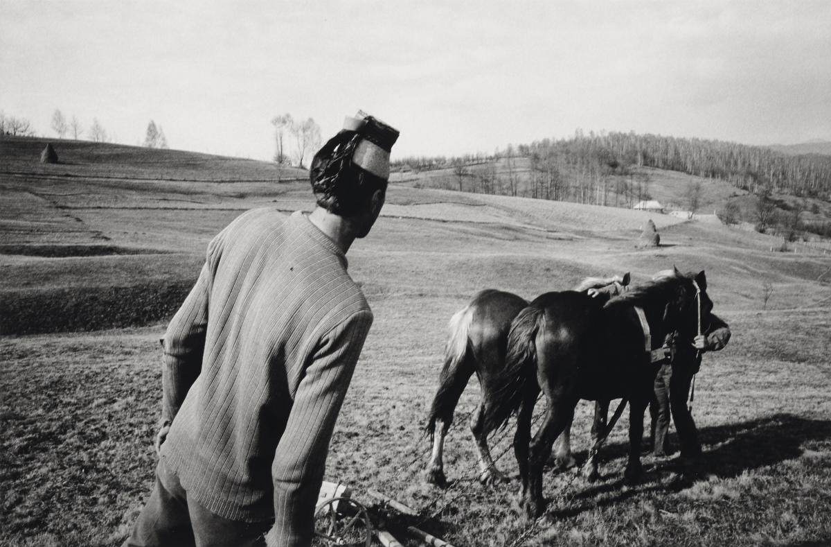 DAVIN ELLICSON (* 1978) ‘Spring plowing in the hills above Valeni’, Rumania 2003