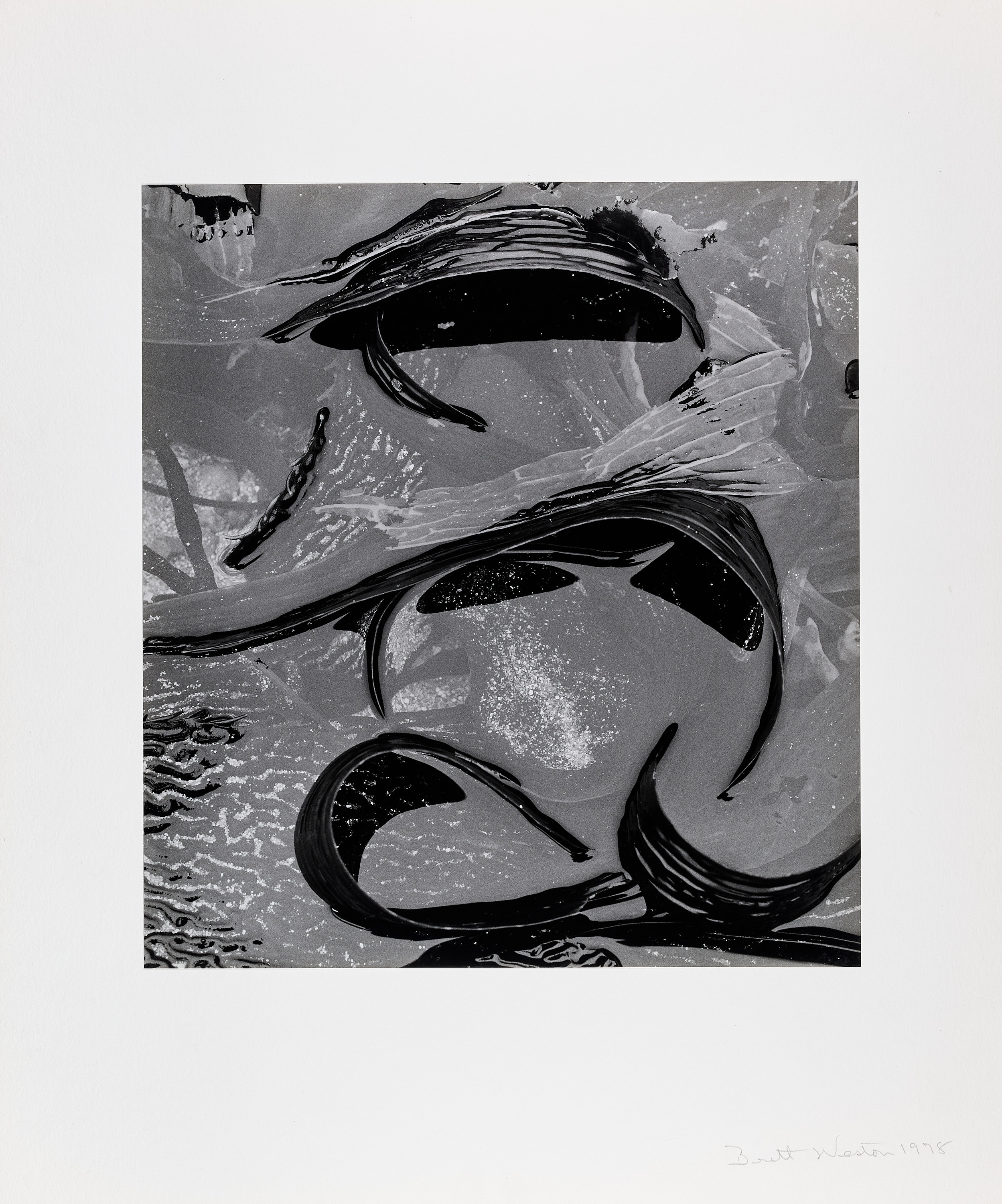 BRETT WESTON (1911–1993) - Tide Pool, California 1978