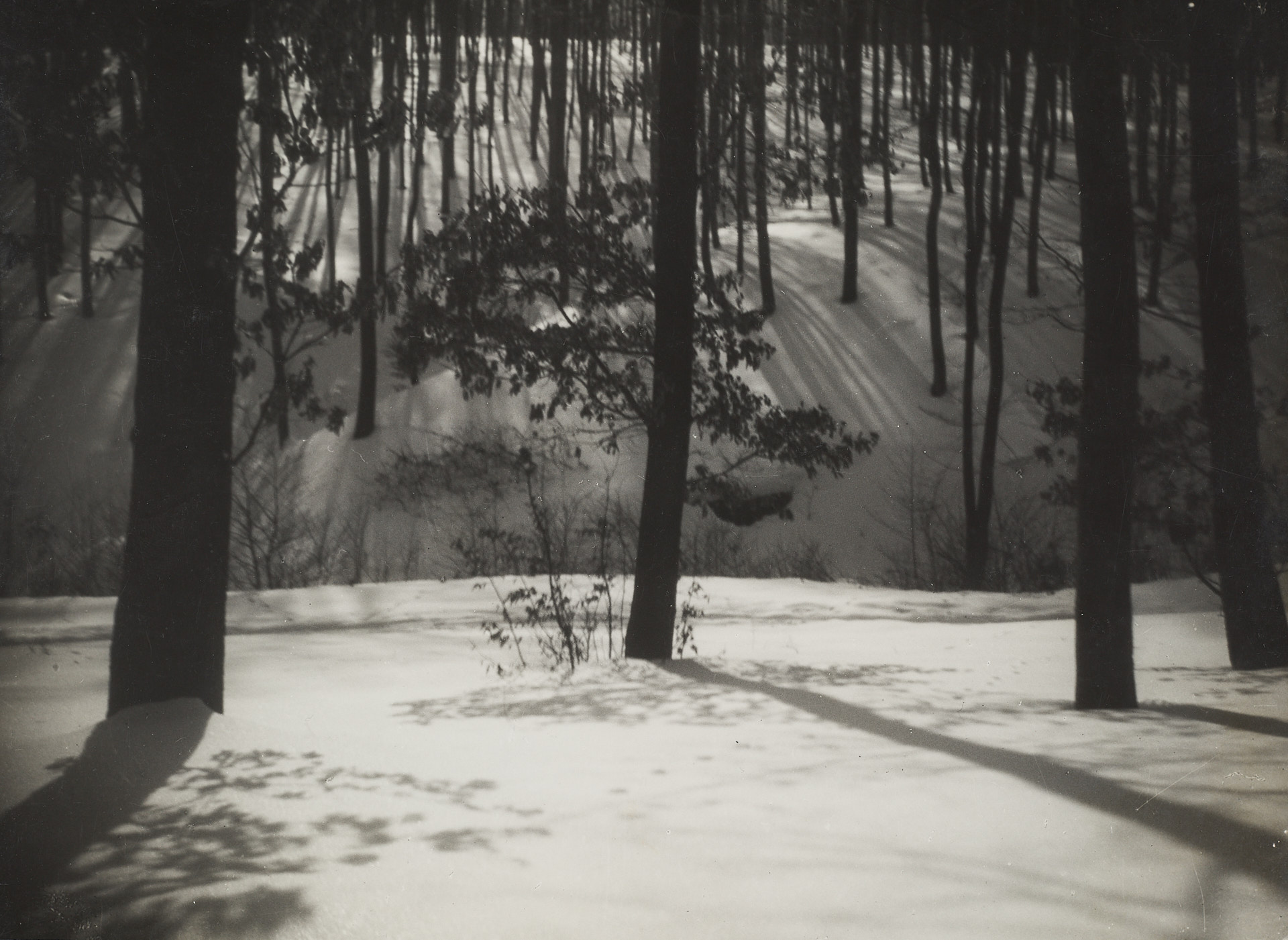 RUDOLF KOPPITZ (1884–1936) - Winter at Wienerwald, Vienna 1923
