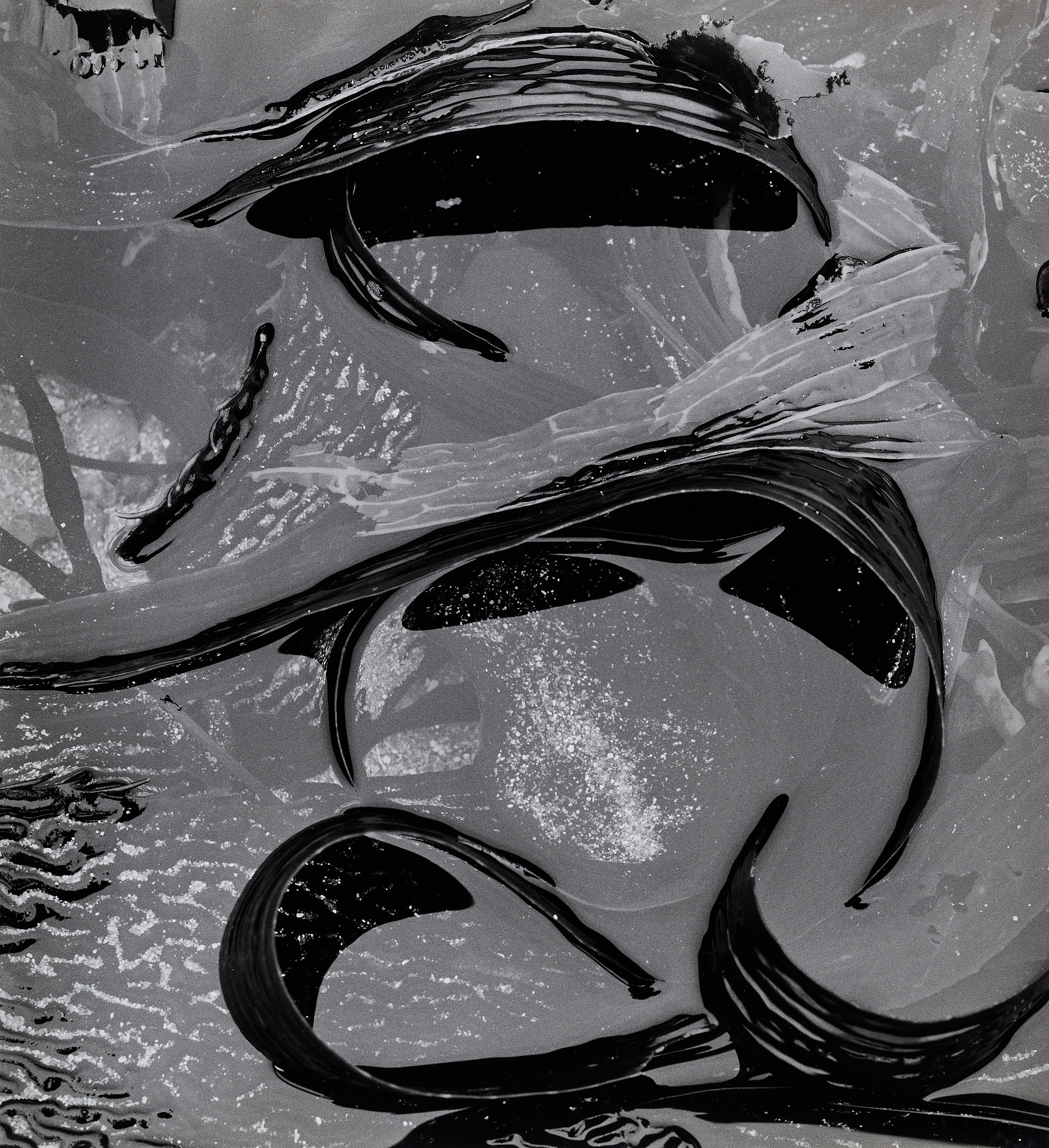 BRETT WESTON (1911–1993) - Tide Pool, California 1978