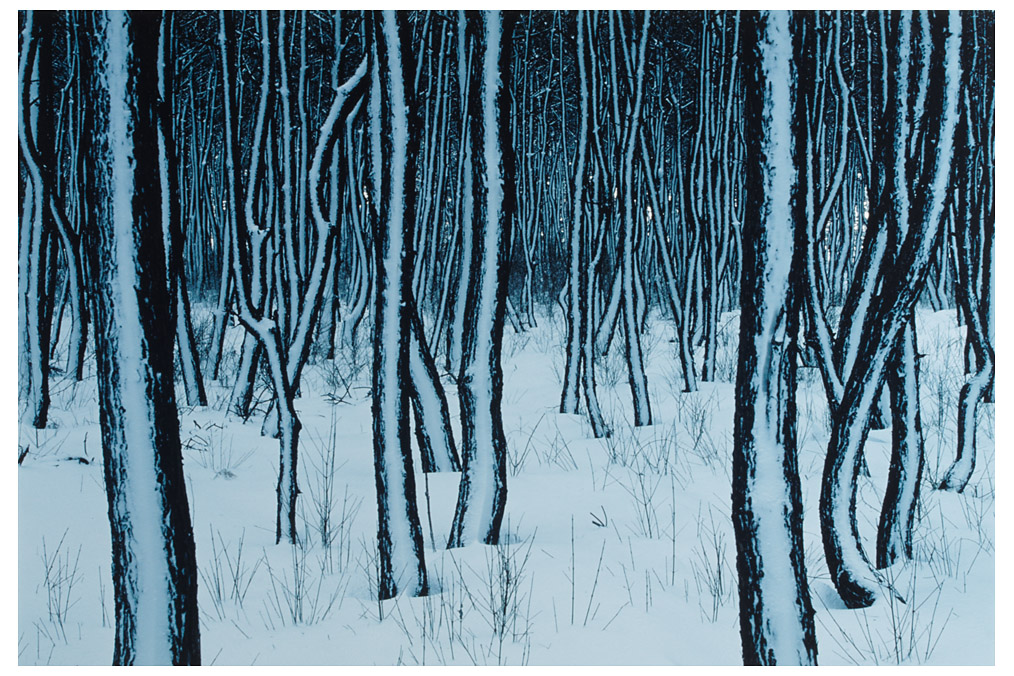 After a snowstorm, Takeuchi Toshinobu (* 1943)