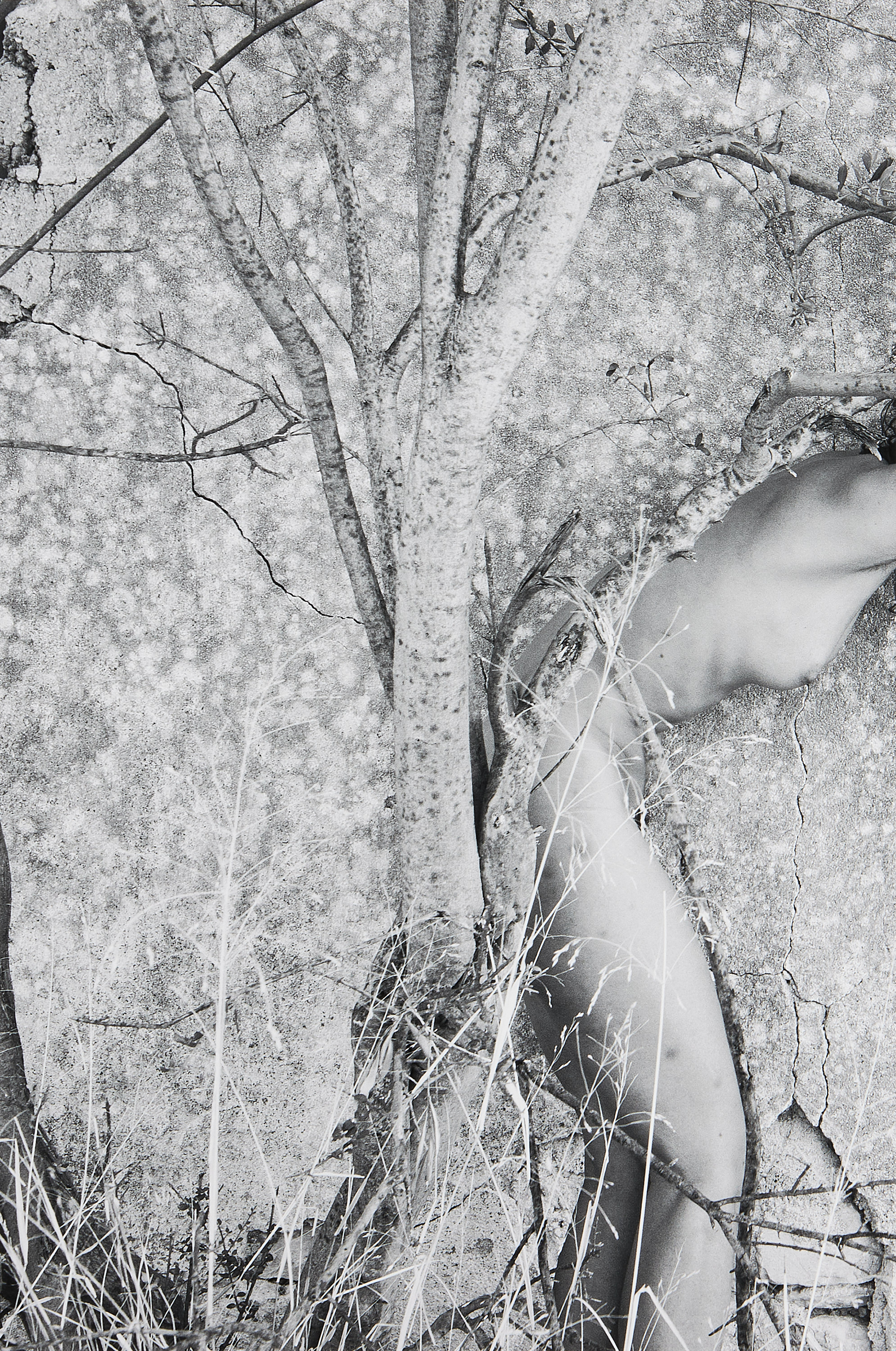VIKI KOLLEROVÁ (*1984) - Fawn Wall, 2025