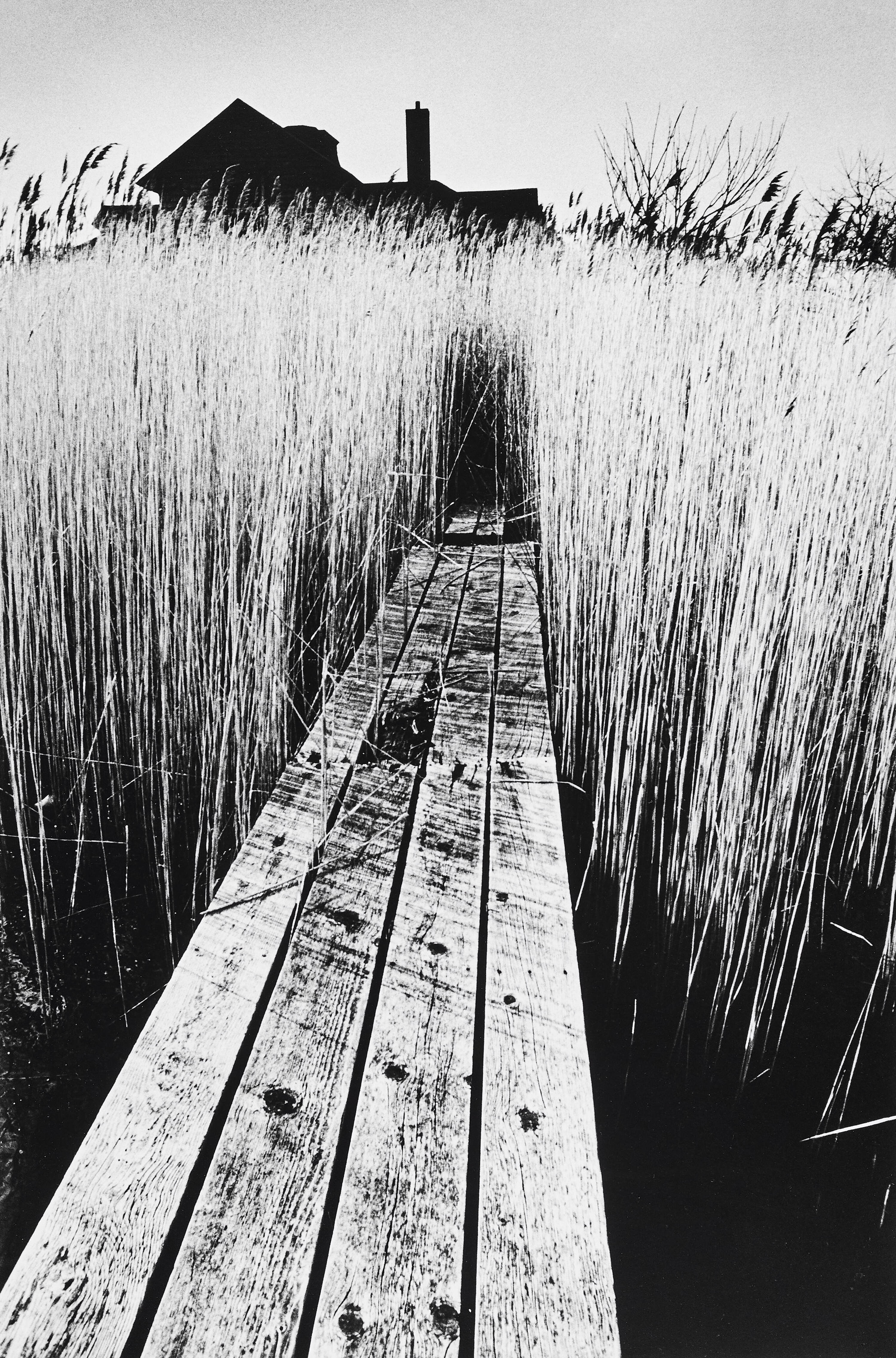 JEANLOUP SIEFF (1933–2000) - The Black House, Easthampton NY 1965