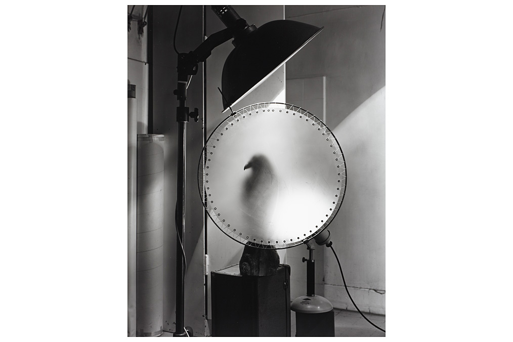 Otmar Thormann, ›Bird in the studio‹ Otmar Thormann, ›Bird in the studio‹