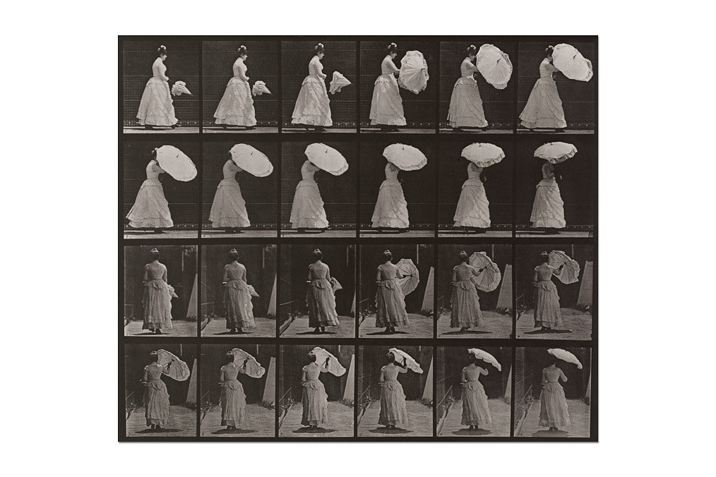 Eadweard Muybridge (1830-1904), Tafel 38 / Plate 38 (from "Animal Locomotion")