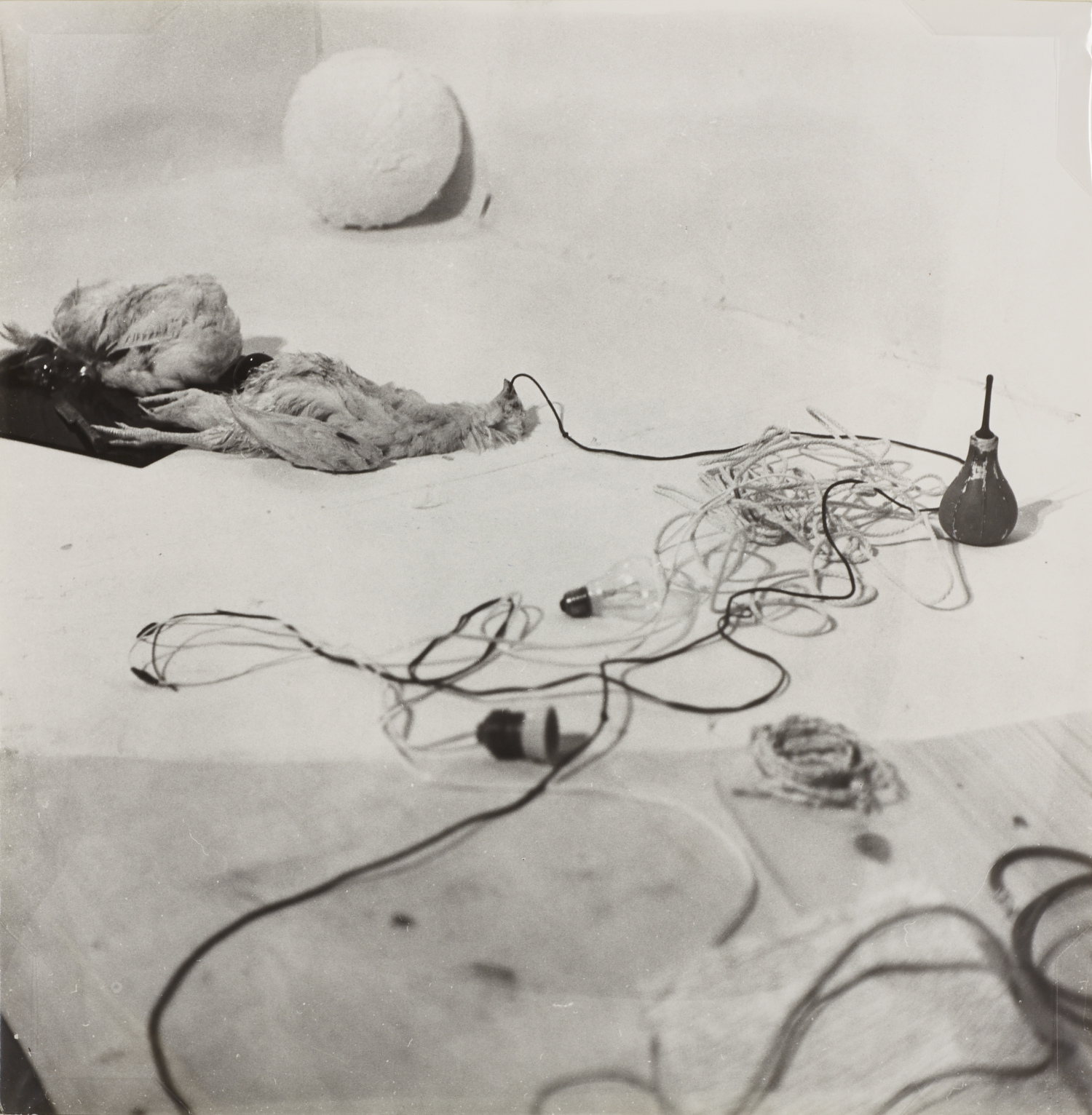 RUDOLF SCHWARZKOGLER (1940–1969) 6. Aktion, 1966 RUDOLF SCHWARZKOGLER (1940–1969) 6. Aktion, 1966