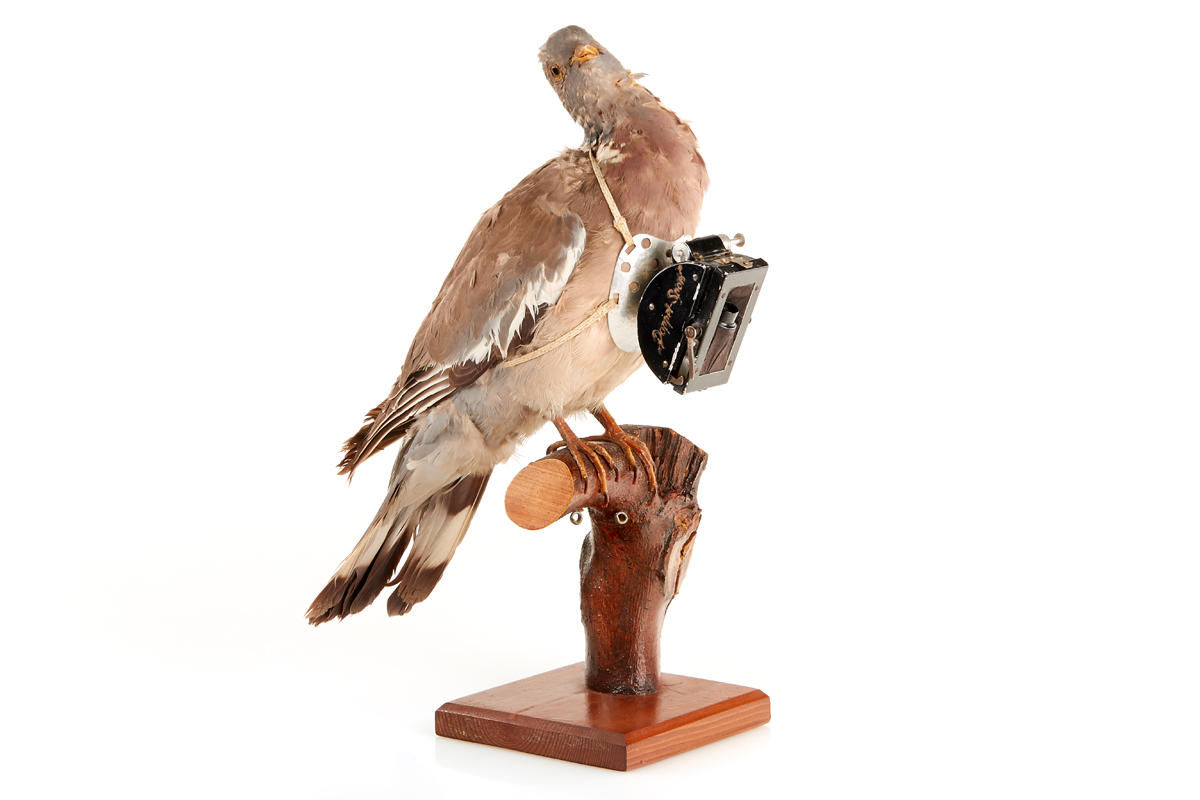 Neubronner's Doppel-Sport Pigeon-Camera