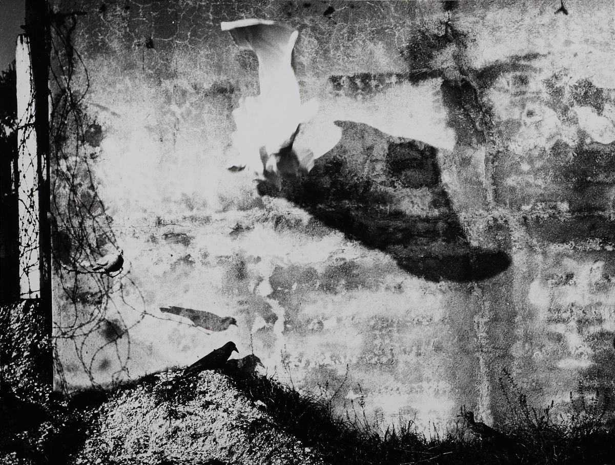 MARIO GIACOMELLI (1925–2000) ‘Felicità raggiunta, si cammina di Eugenio Montale’, 1992 MARIO GIACOMELLI (1925–2000) ‘Felicità raggiunta, si cammina di Eugenio Montale’, 1992