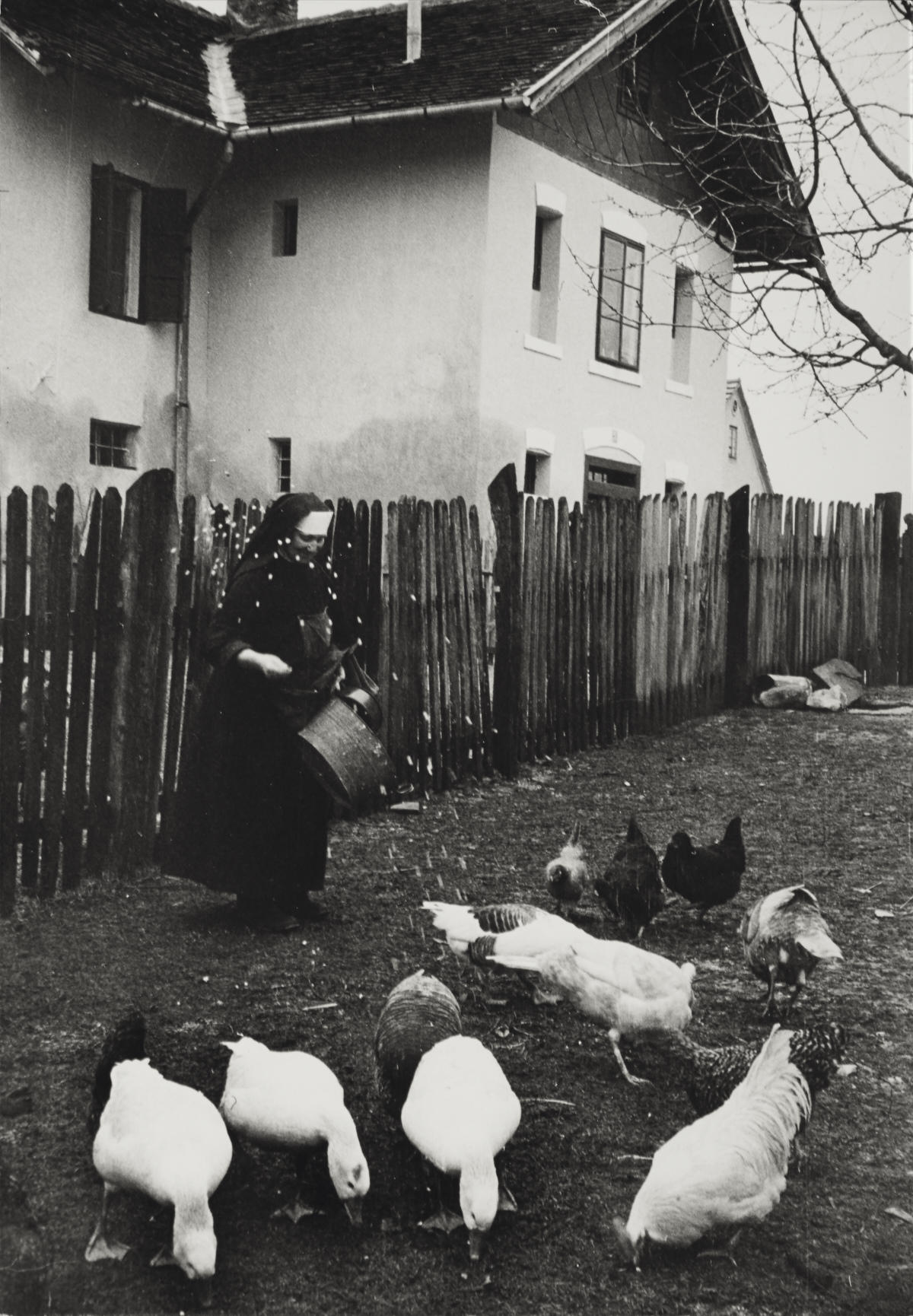 ERICH LESSING (* 1923) Krasic, Croatia 1952 ERICH LESSING (* 1923) Krasic, Croatia 1952