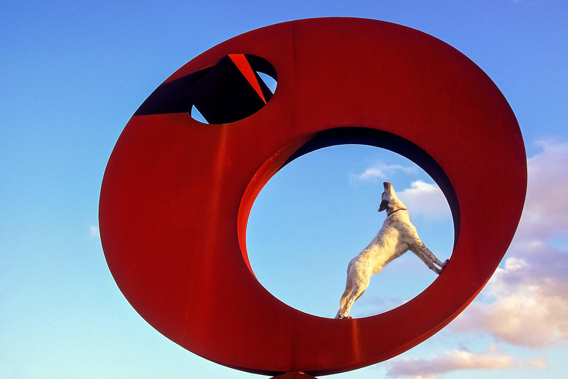 TONI ANZENBERGER (* 1969) ‘Pecorinenwelt, Pecorino in Sizilien’, Gibellina Nuova 2000 *