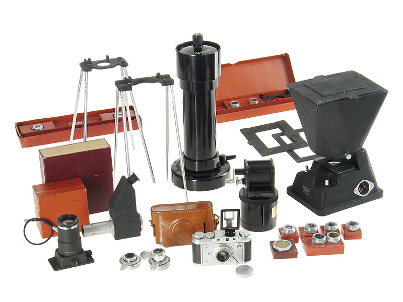 Ducati  Sogno outfit