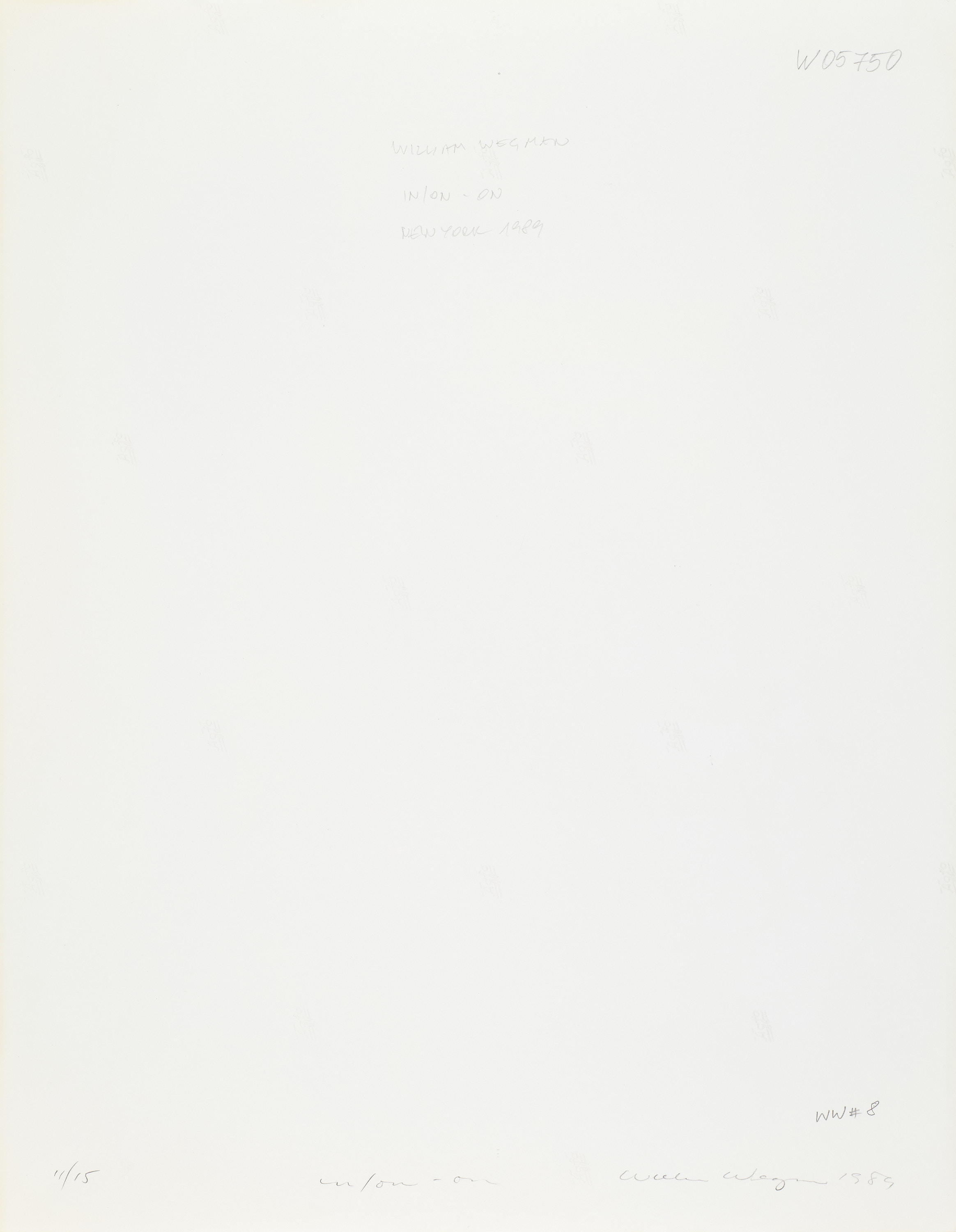 WILLIAM WEGMAN (* 1943) - In/on-on, New York 1989