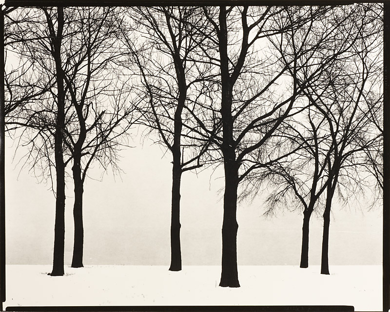 Harry Callahan (1912–1999), Chicago