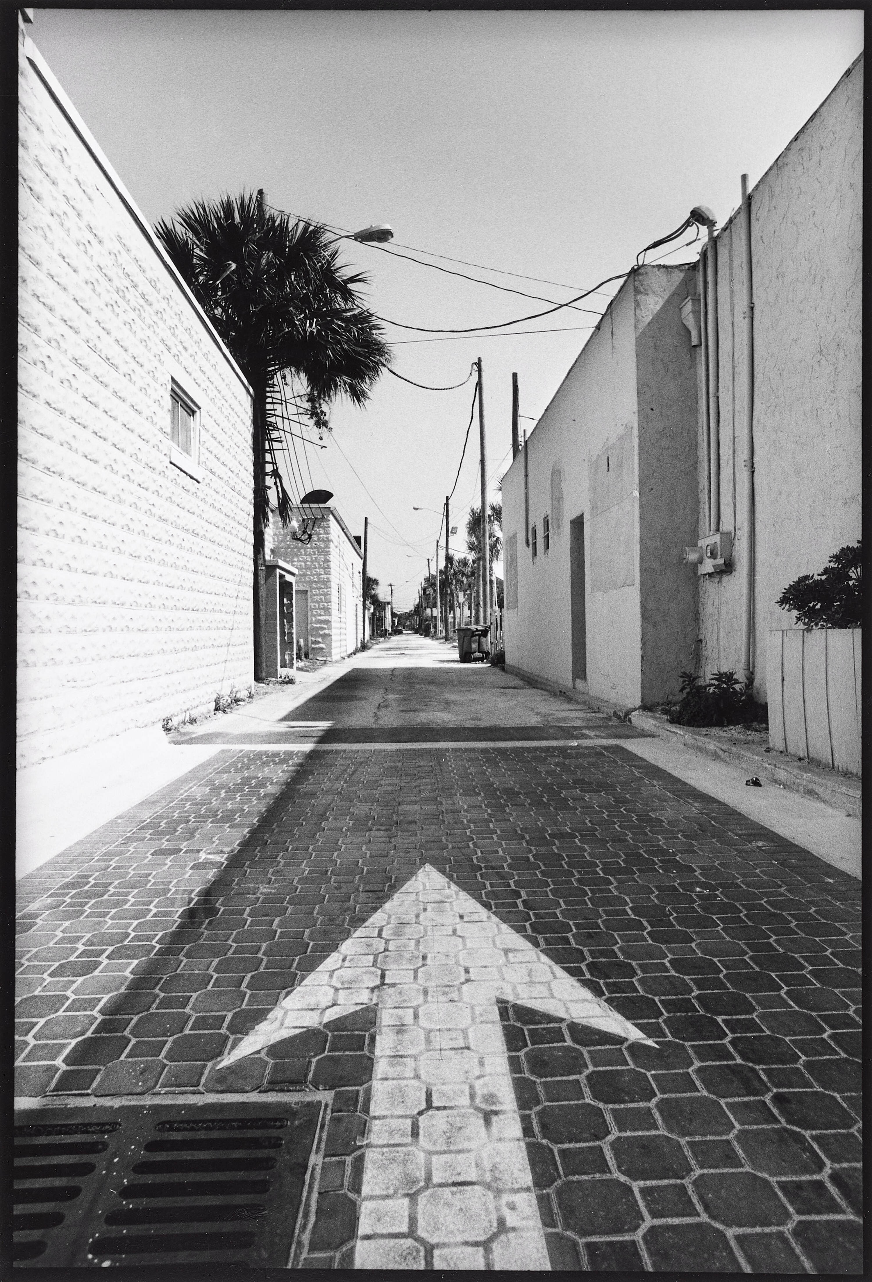 ARNOLD NEWMAN (1918–2006) - Palm Beach, Florida 1980s