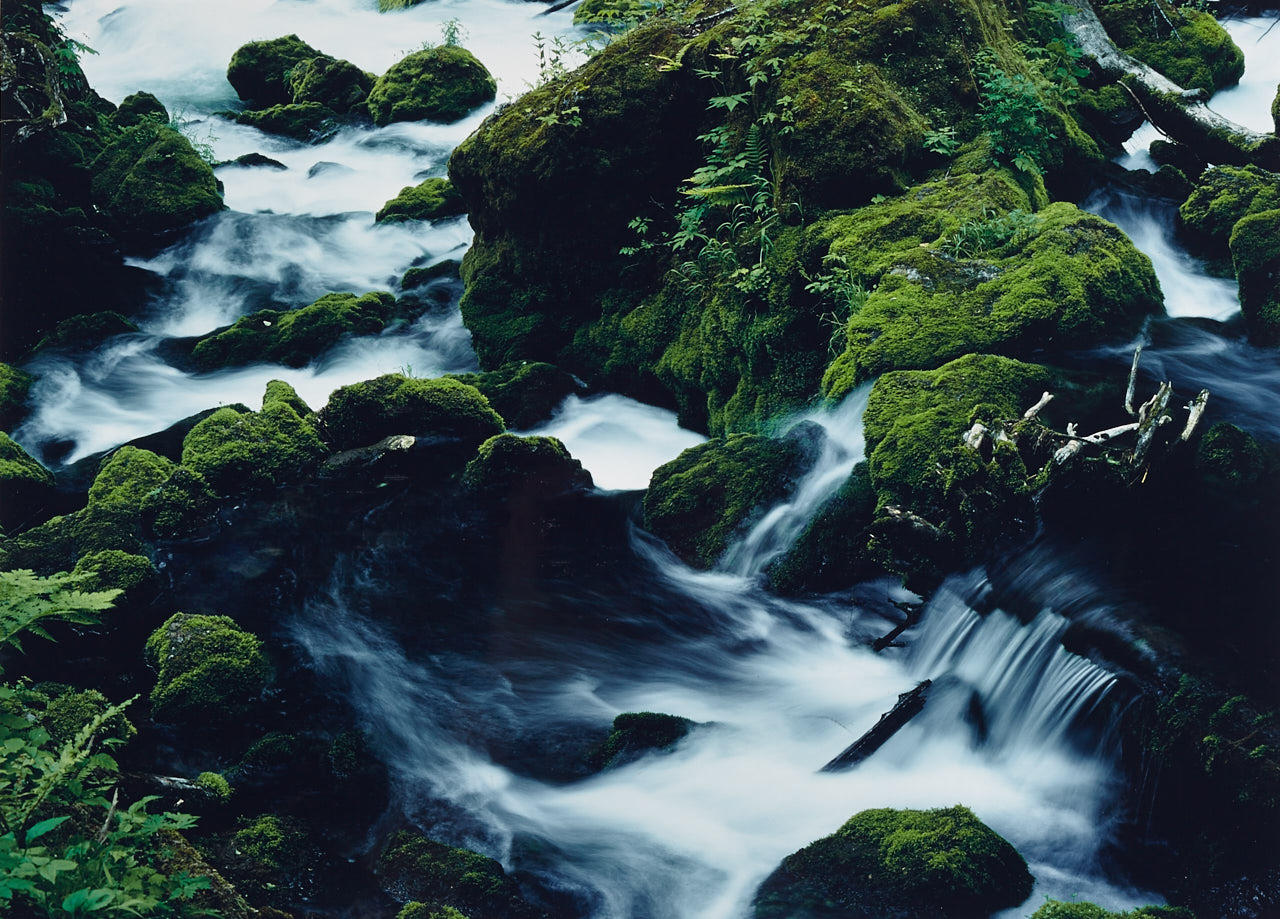 TAKEUCHI TOSHINOBU (* 1943) Stones covered with moss, Japan 2000