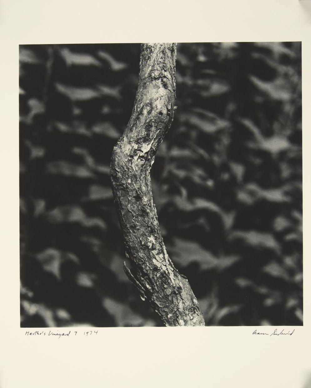 AARON SISKIND (1903–1991) ‘Martha's Vineyard #7’, 1974 AARON SISKIND (1903–1991) ‘Martha's Vineyard #7’, 1974