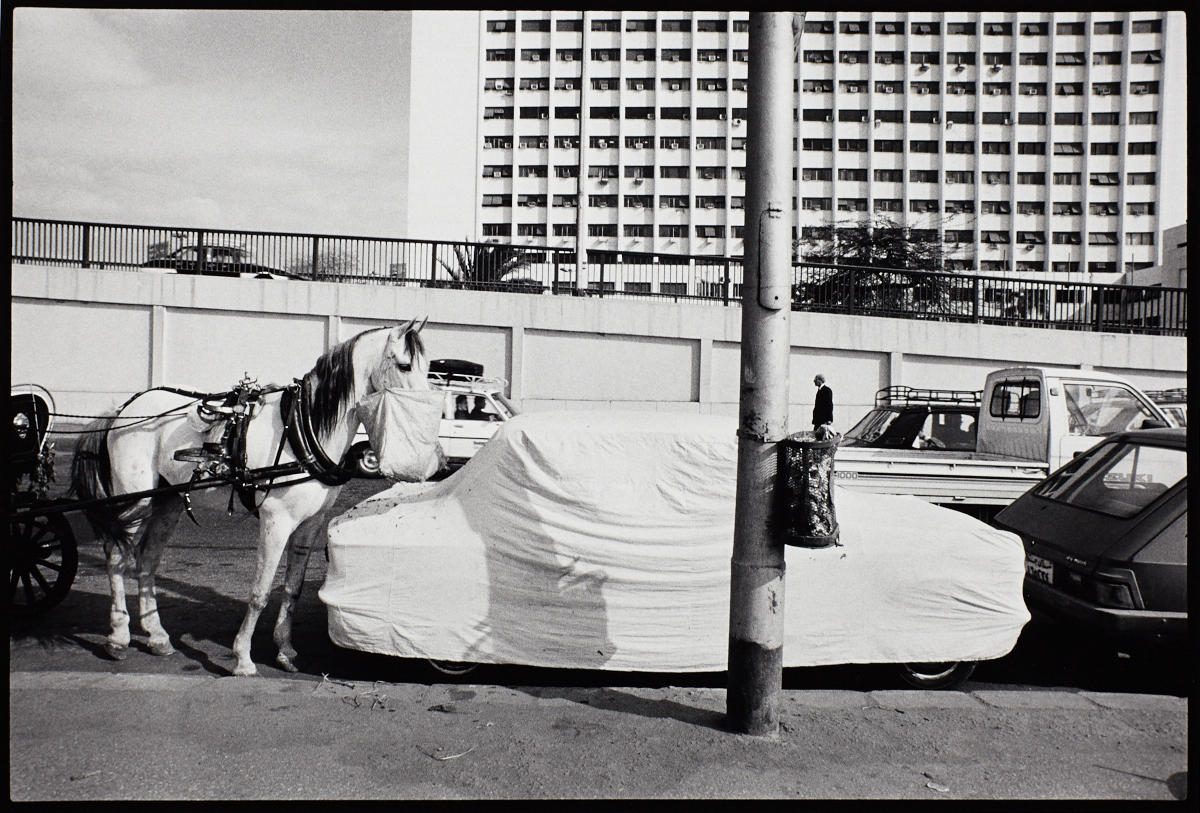 JOSEF POLLEROSS (* 1963) Corniche, Cairo 1992