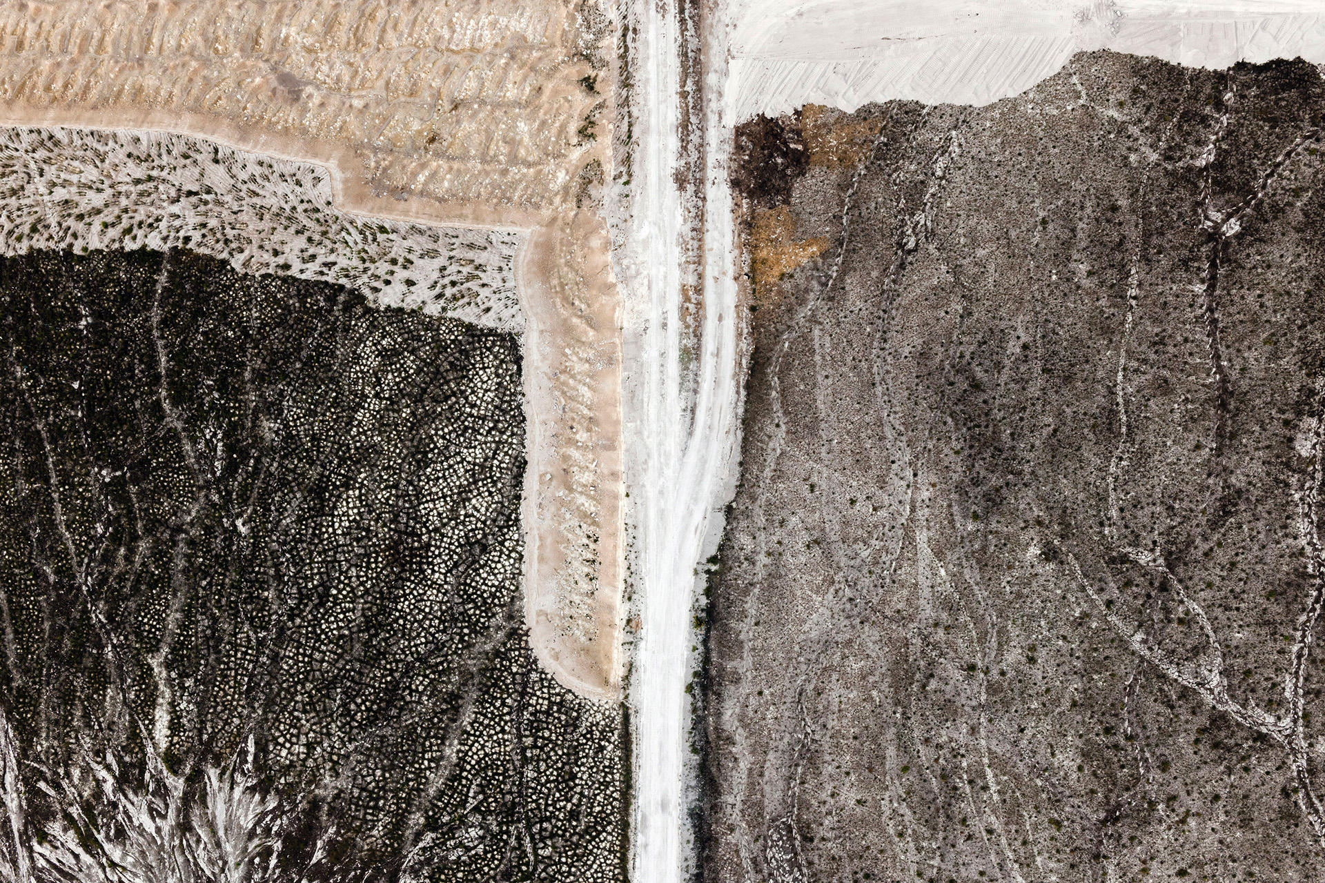 KACPER KOWALSKI (* 1977) Composition #17 (from the series ‘Toxic Beauty’), Poland 2011